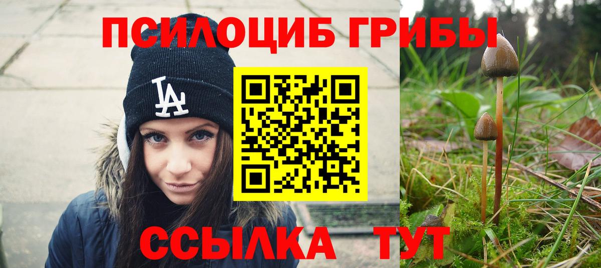 Воткинск  Псилоцибиновые грибы MAGIC MUSHROOMS  Вход с VPN 