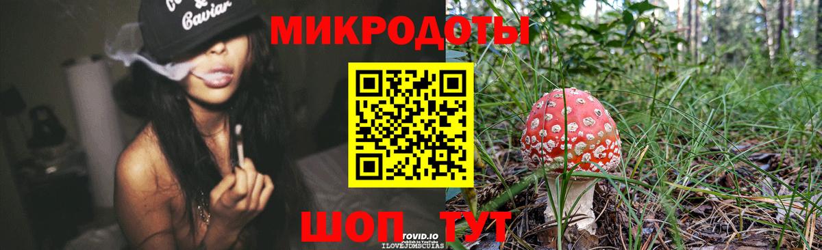 Галлюциногенные грибы Cubensis Воткинск